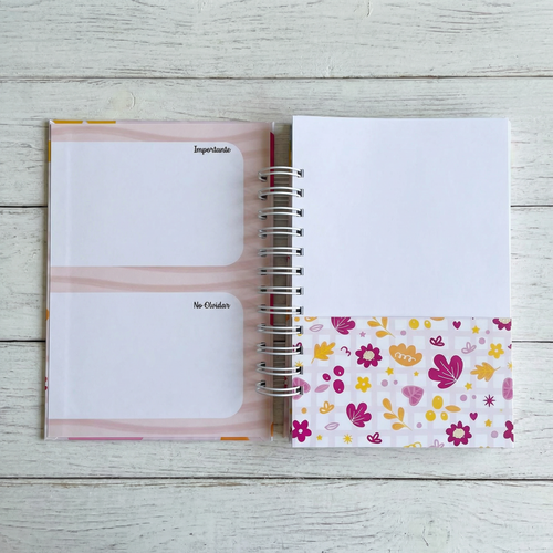 AGENDA HELLO 2026 - PLANNER CON COLORING @APOLO.CREA