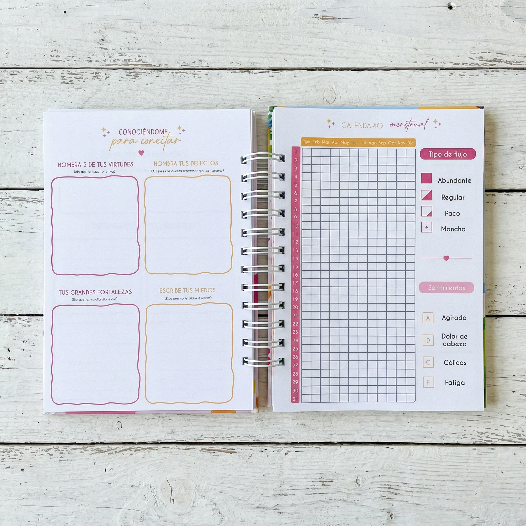 AGENDA HELLO 2026 - PLANNER CON COLORING @APOLO.CREA
