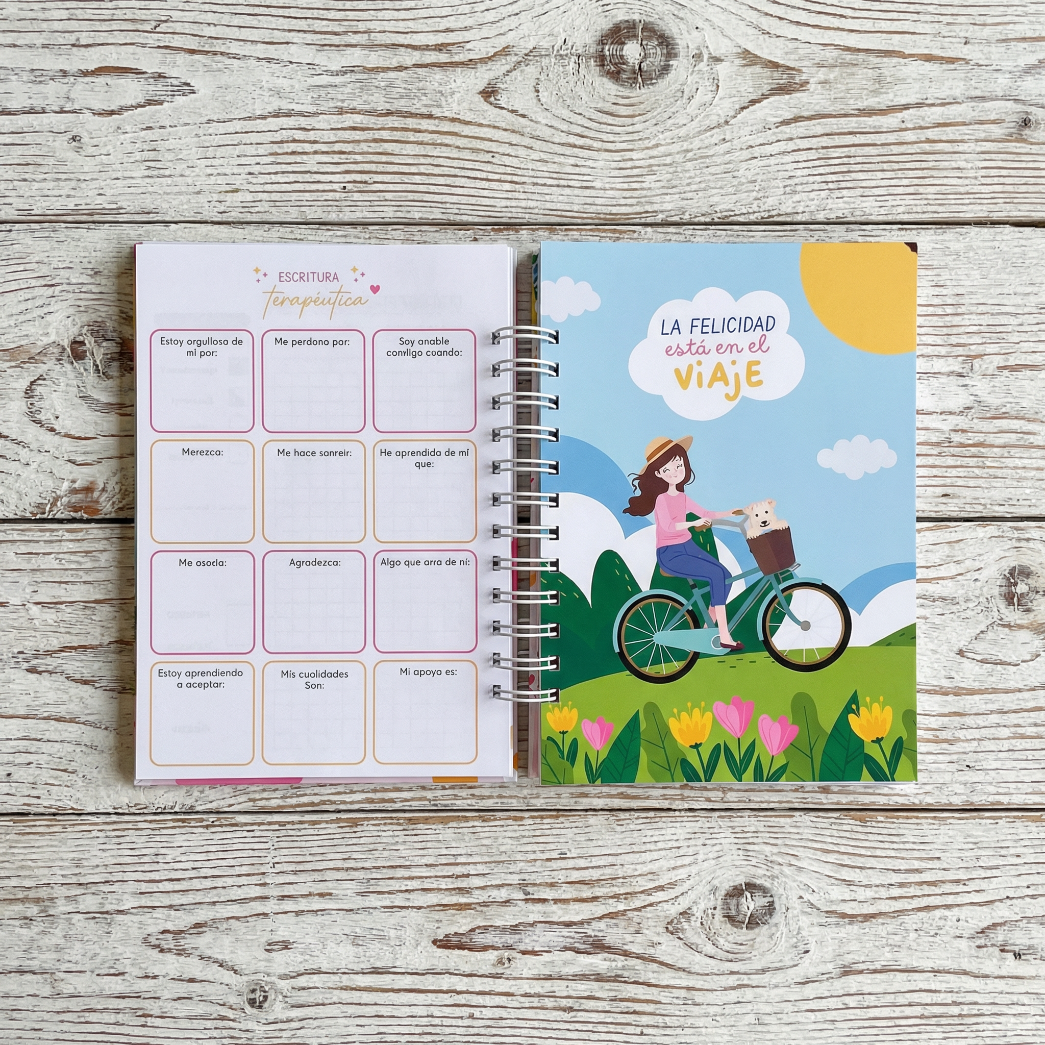 AGENDA HELLO 2026 - PLANNER CON COLORING @APOLO.CREA