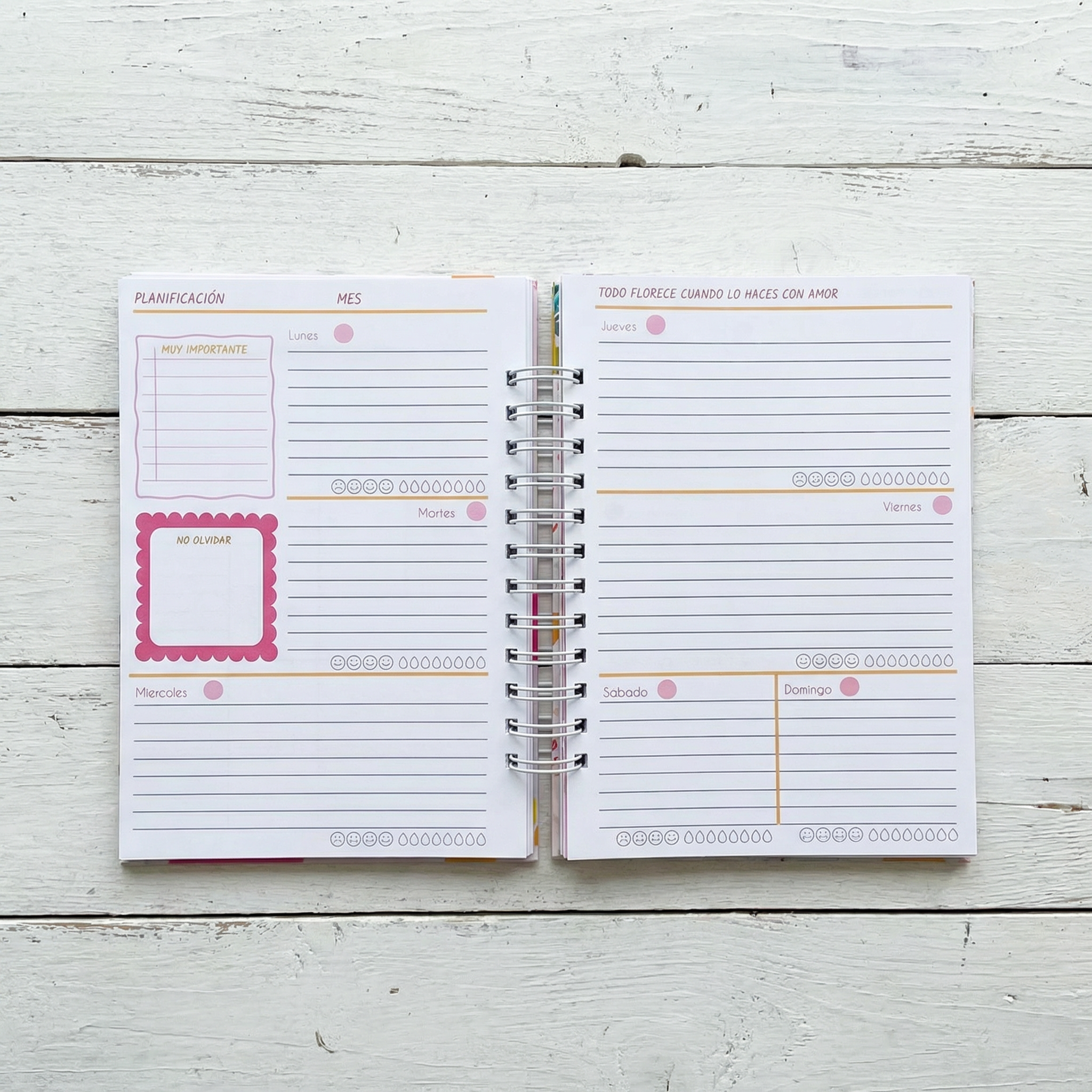 AGENDA HELLO 2026 - PLANNER CON COLORING @APOLO.CREA