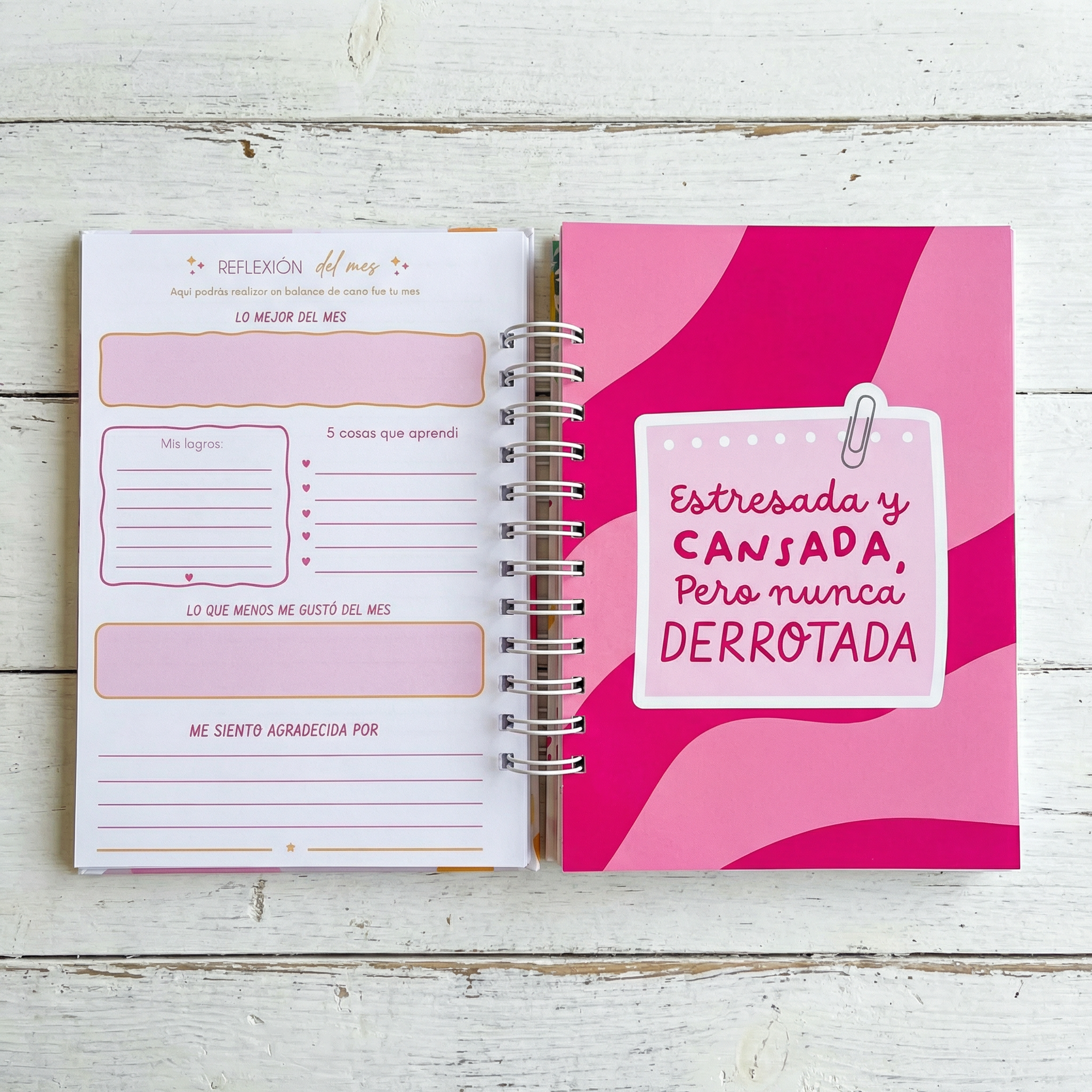 AGENDA HELLO 2026 - PLANNER CON COLORING @APOLO.CREA